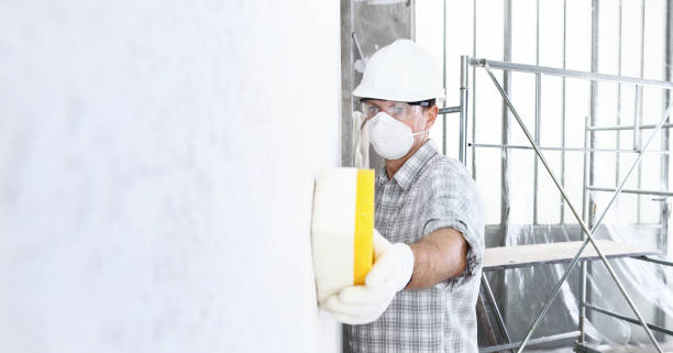 Best Mold Prevention Services in Occoquan, VA